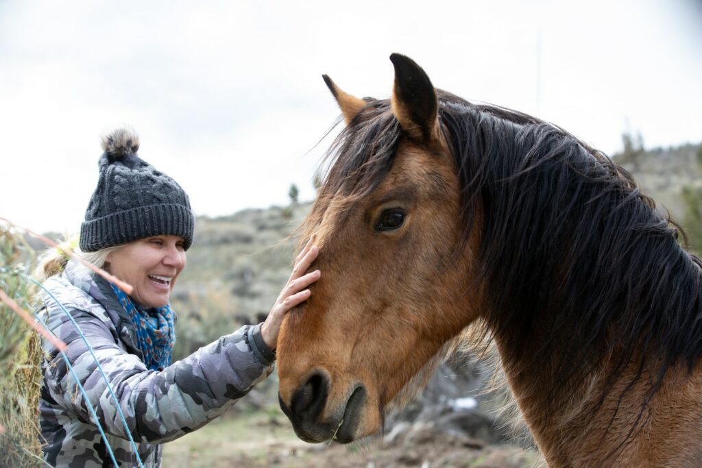 ‘Horse detective’ adopts wild mustangs, reunites them with herds