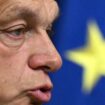 Europäische Union: Ungarn übernimmt turnusgemäß Ratsvorsitz der EU
