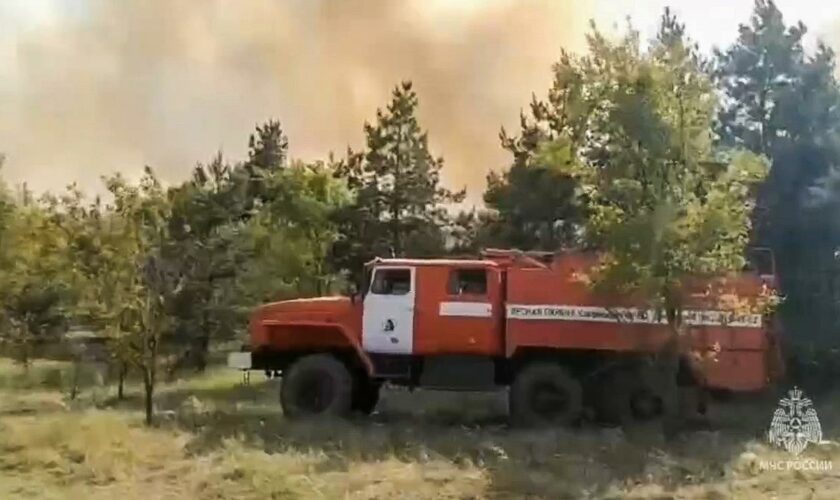 Waldbrände: Russische Region verhängt Ausnahmezustand wegen Waldbränden