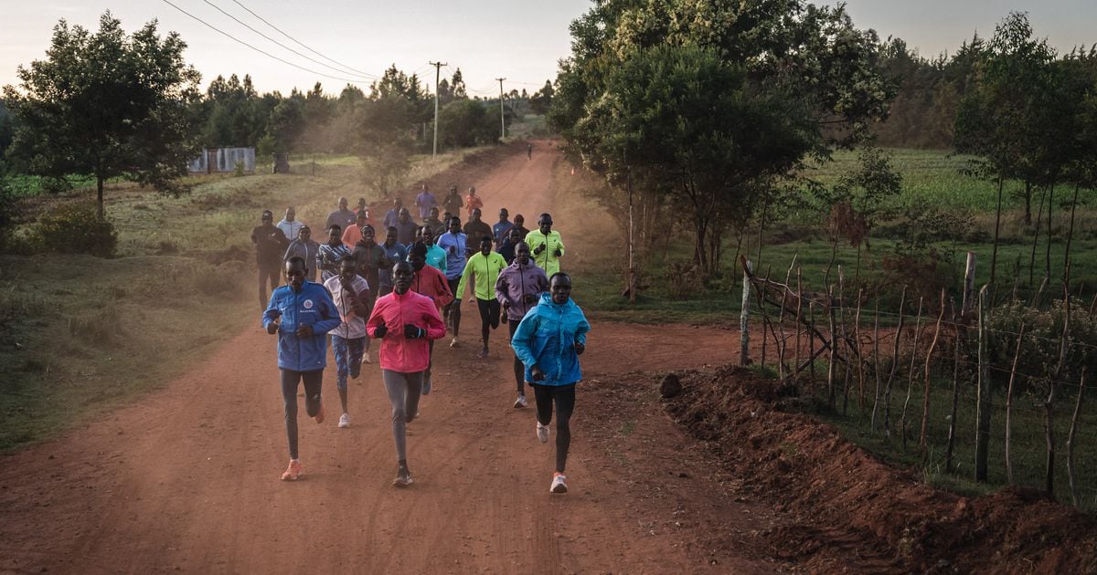 Des coureurs kényans participent à une séance matinale du camp d'entraînement local à Iten, au Kenya, le 5 juin 2023. À près de 6 heures du matin, les premières lueurs du matin éclairent l'arche emblématique portant l'inscription "Home of Champions" à Iten.