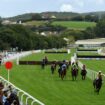 Four horse deaths in single afternoon of racing blamed on ‘unique circumstances’