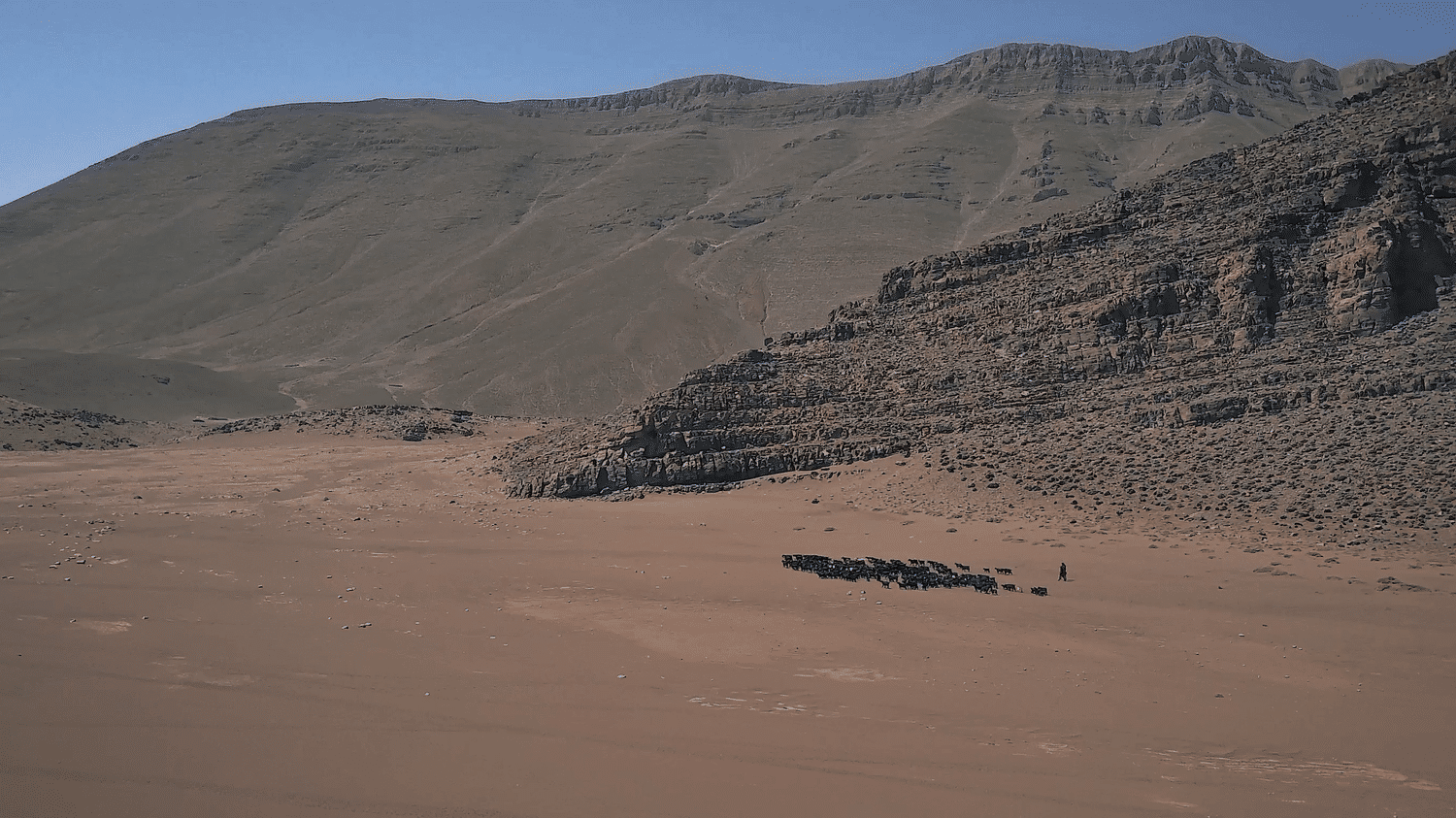 En transhumance sur les hauts plateaux de l’Atlas marocain