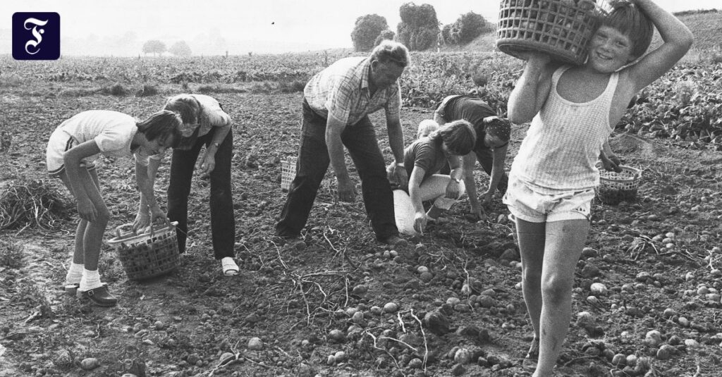 Arbeiten im Sommer: Ferienjobs, die im Gedächtnis blieben