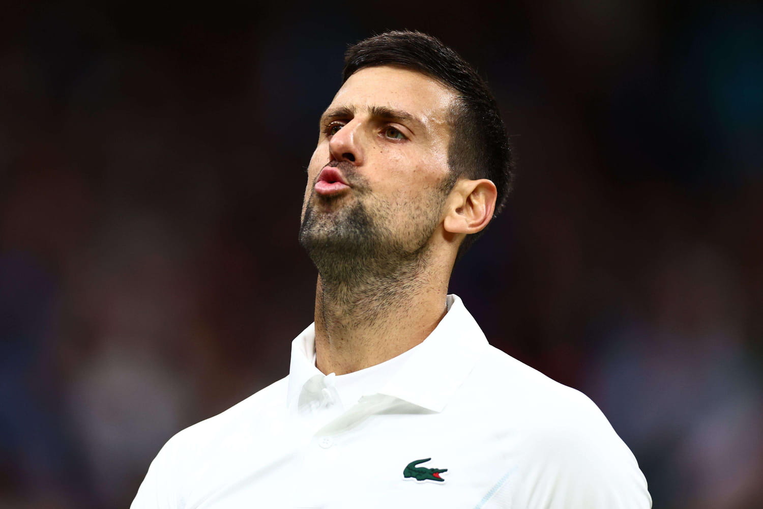 DIRECT. Wimbledon 2024 : Djokovic en balade, Zverev éliminé, scores et résultats