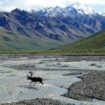 La fonte de certains glaciers d'Alaska ne tardera pas à être irréversible