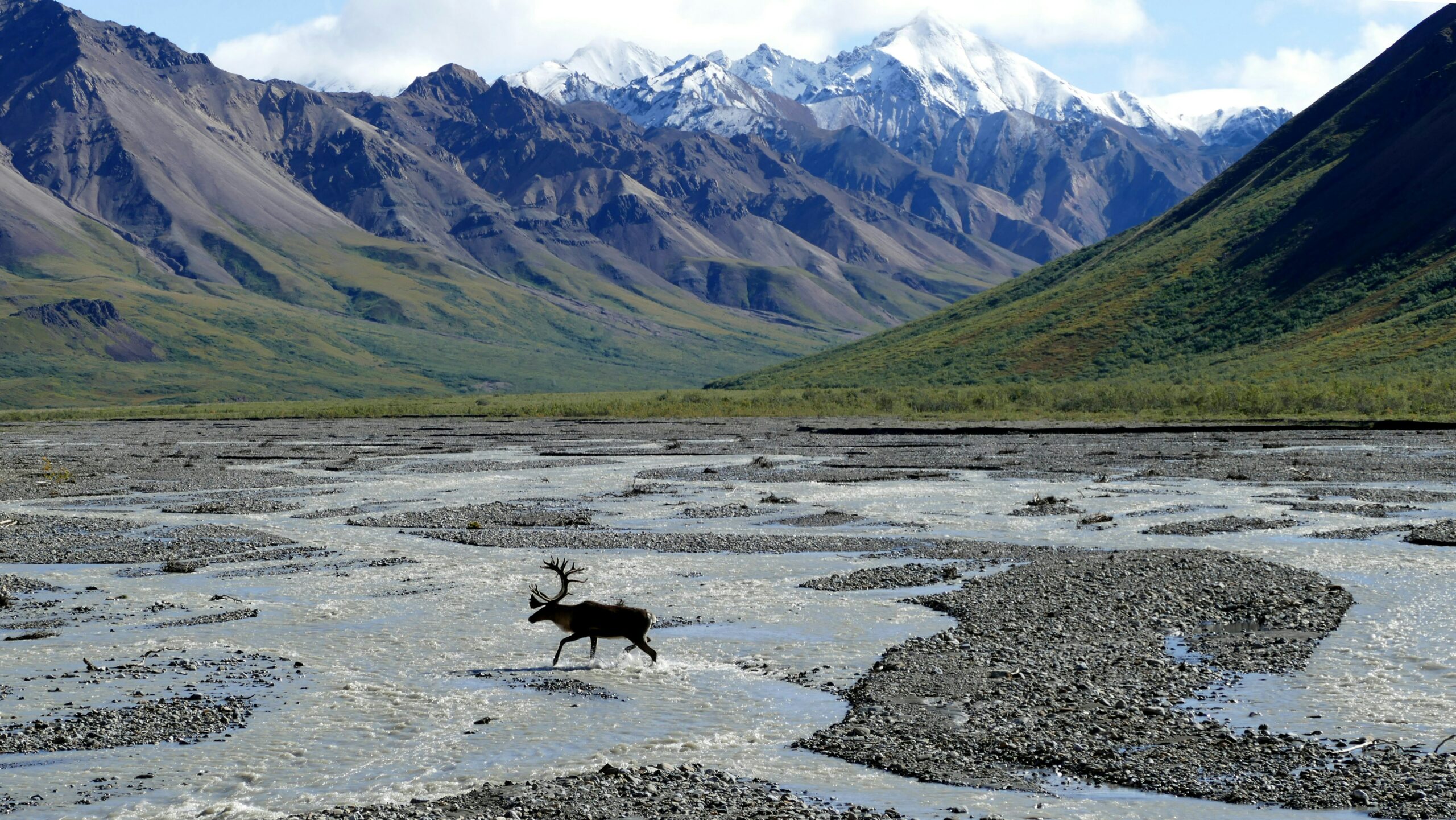 La fonte de certains glaciers d'Alaska ne tardera pas à être irréversible