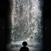 L'Américain Bill Viola, pionnier de l'art vidéo connu pour ses installations monumentales, est mort à 73 ans