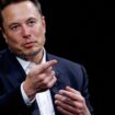 Nach Schüssen bei Wahlkampfauftritt: Musk schlägt sich offiziell auf Trumps Seite