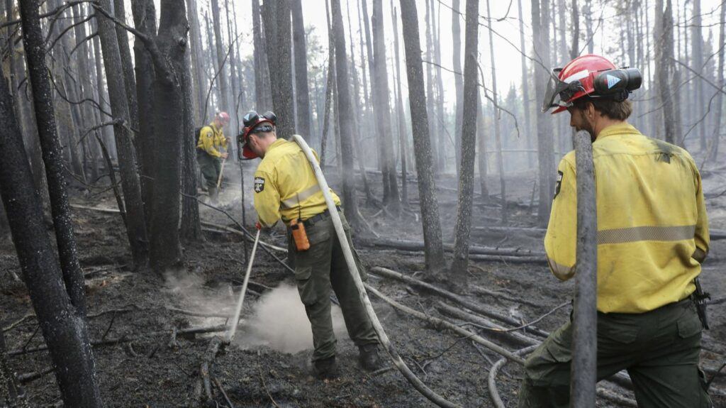 Alaska, Canada, Russie... Les incendies s'intensifient dans les forêts boréales