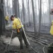 Alaska, Canada, Russie... Les incendies s'intensifient dans les forêts boréales