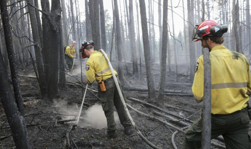 Alaska, Canada, Russie... Les incendies s'intensifient dans les forêts boréales