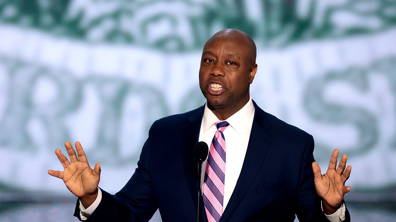 Tim Scott warns of Iranian, Afghan 'sleeper cells' in US due to border crisis