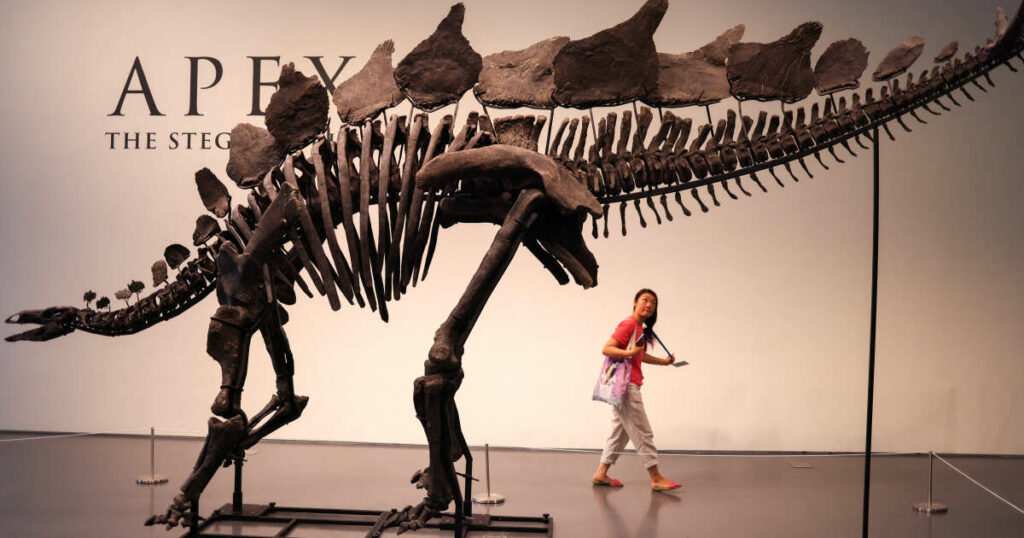 Comment Sotheby’s a vendu le dinosaure le plus cher du monde