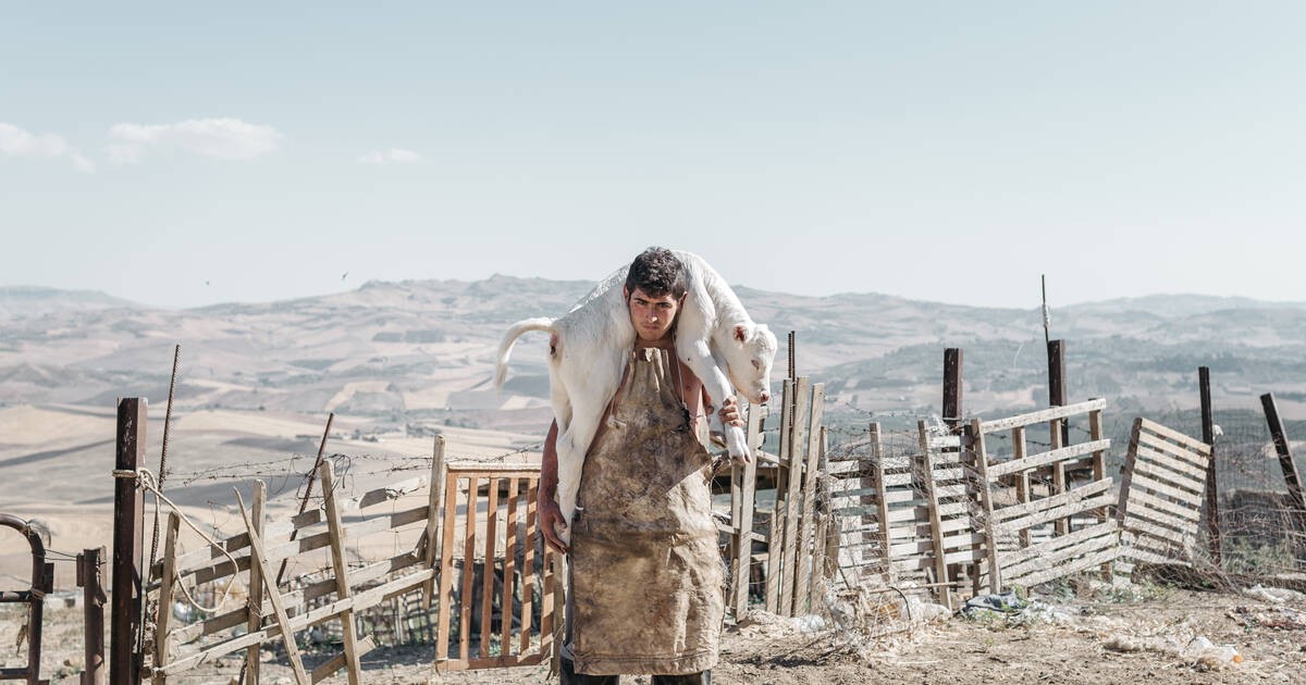 EN IMAGES -  Roselena Ramistella, carnet de sentiers