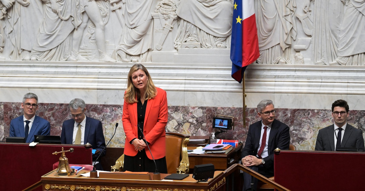 Les ministres-députés avaient-ils le droit de voter à l’Assemblée ? Ce que dit la Constitution