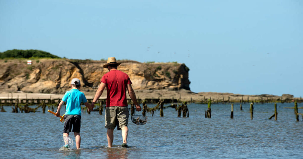 À la découverte de la pêche à pied, “une tradition ancestrale”, sur une plage bretonne