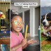 Viral headlines: Trending family stories, pet tales, food finds and more you won't want to miss