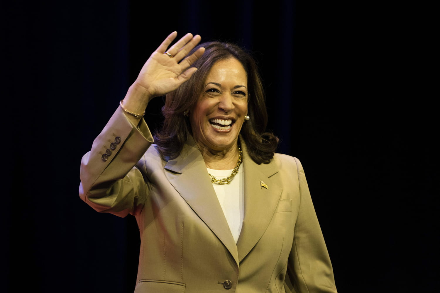 Kamala Harris : ce que disent les sondages face à Donald Trump