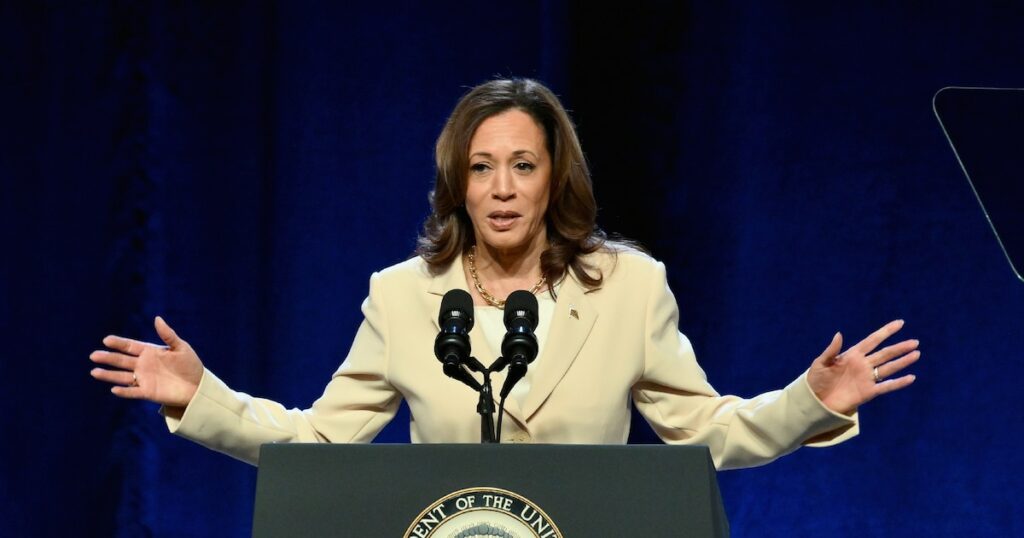 Après le retrait de Biden, quel colistier pour Kamala Harris ? Les noms qui circulent