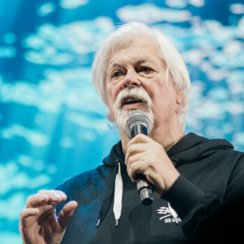 10 choses à savoir sur Paul Watson, le fondateur de Sea Shepherd qui vient d’être arrêté au Groenland