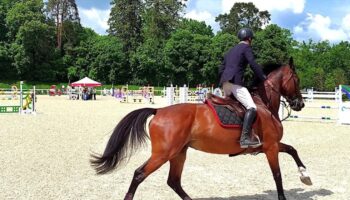 Au Haras national du Pin, le "Versailles du cheval" se modernise