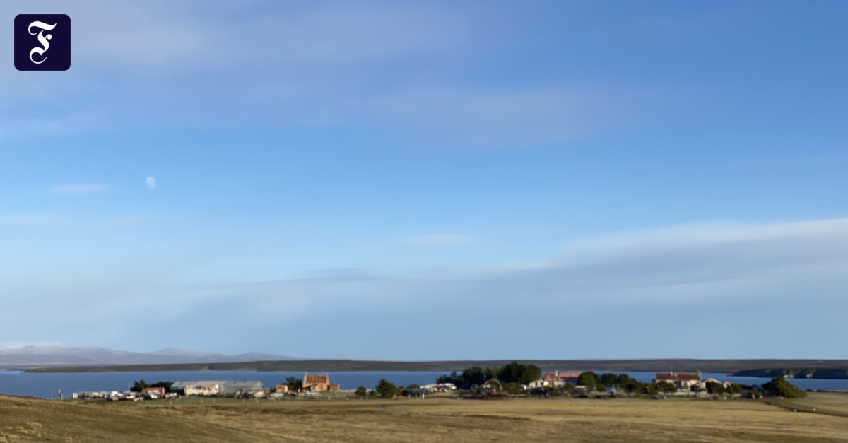 Schiffbruch im Atlantik: Acht Tote bei Schiffsunglück vor Falklandinseln