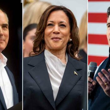 Conservatives praise 'brilliant' swing state GOP ad attacking Harris: 'Here's the blueprint'