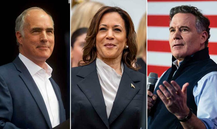 Conservatives praise 'brilliant' swing state GOP ad attacking Harris: 'Here's the blueprint'
