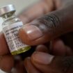 Studie: Medikament Lenacapavir soll effektiv HIV-Infektionen verhindern