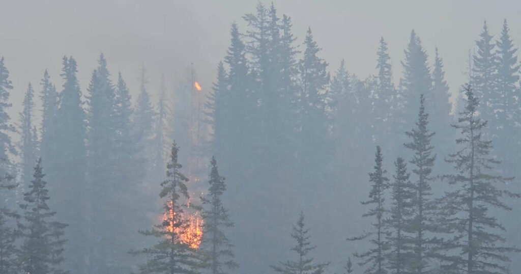 La ville canadienne de Jasper ravagée par “un mur de flammes”