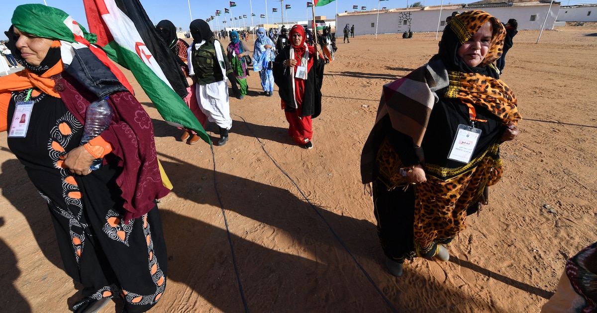 Sahara occidental : l’avertissement de l’Algérie à la France