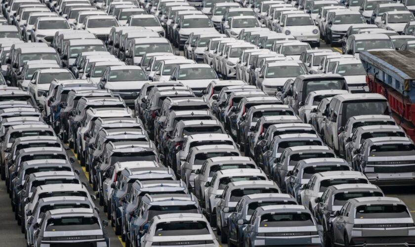 Die Deutschen treten bei E-Autos in den Käuferstreik