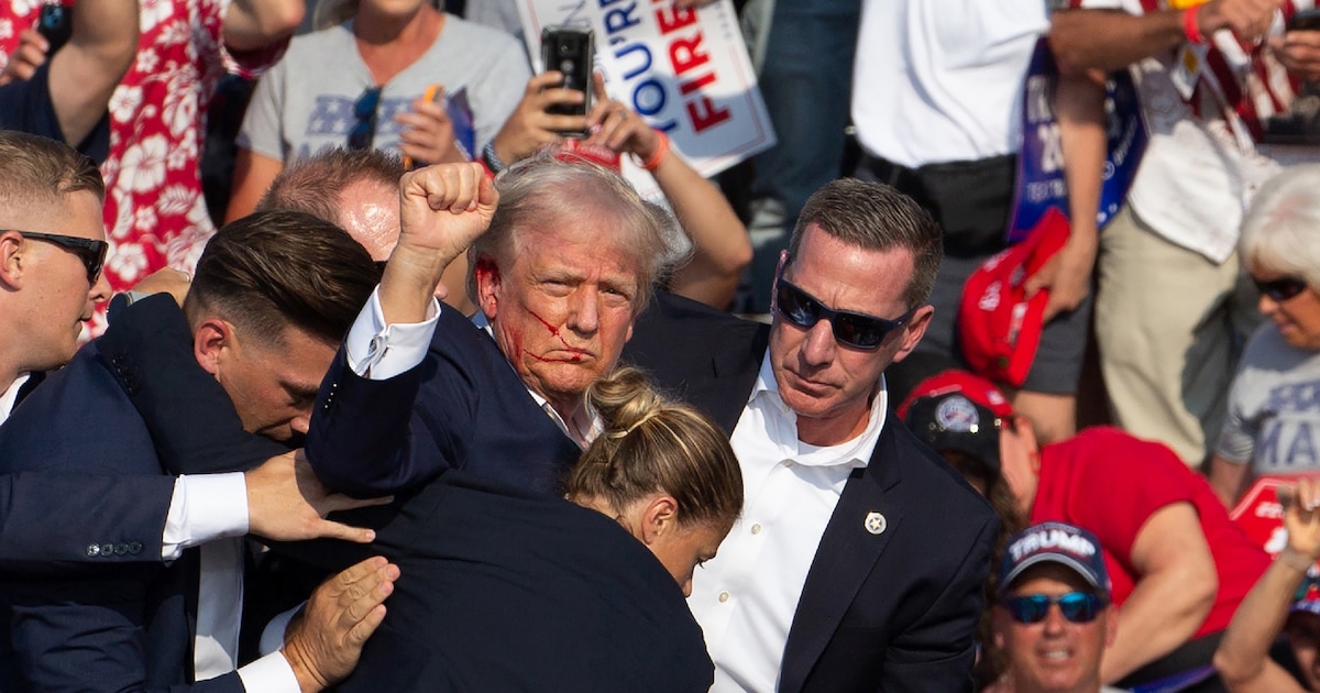 Donald Trump le poing brandi et le visage ensanglanté: juste après les tirs qui l'ont visé à Butler, le 13 juillet 2024