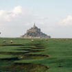 « Mont-Saint-Michel, la baie des merveilles », focus sur une biodiversité d’exception