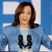 State elections chief demands DNC stop using Ohio to justify virtual meeting to coronate Harris