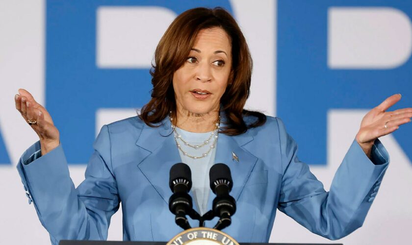 State elections chief demands DNC stop using Ohio to justify virtual meeting to coronate Harris