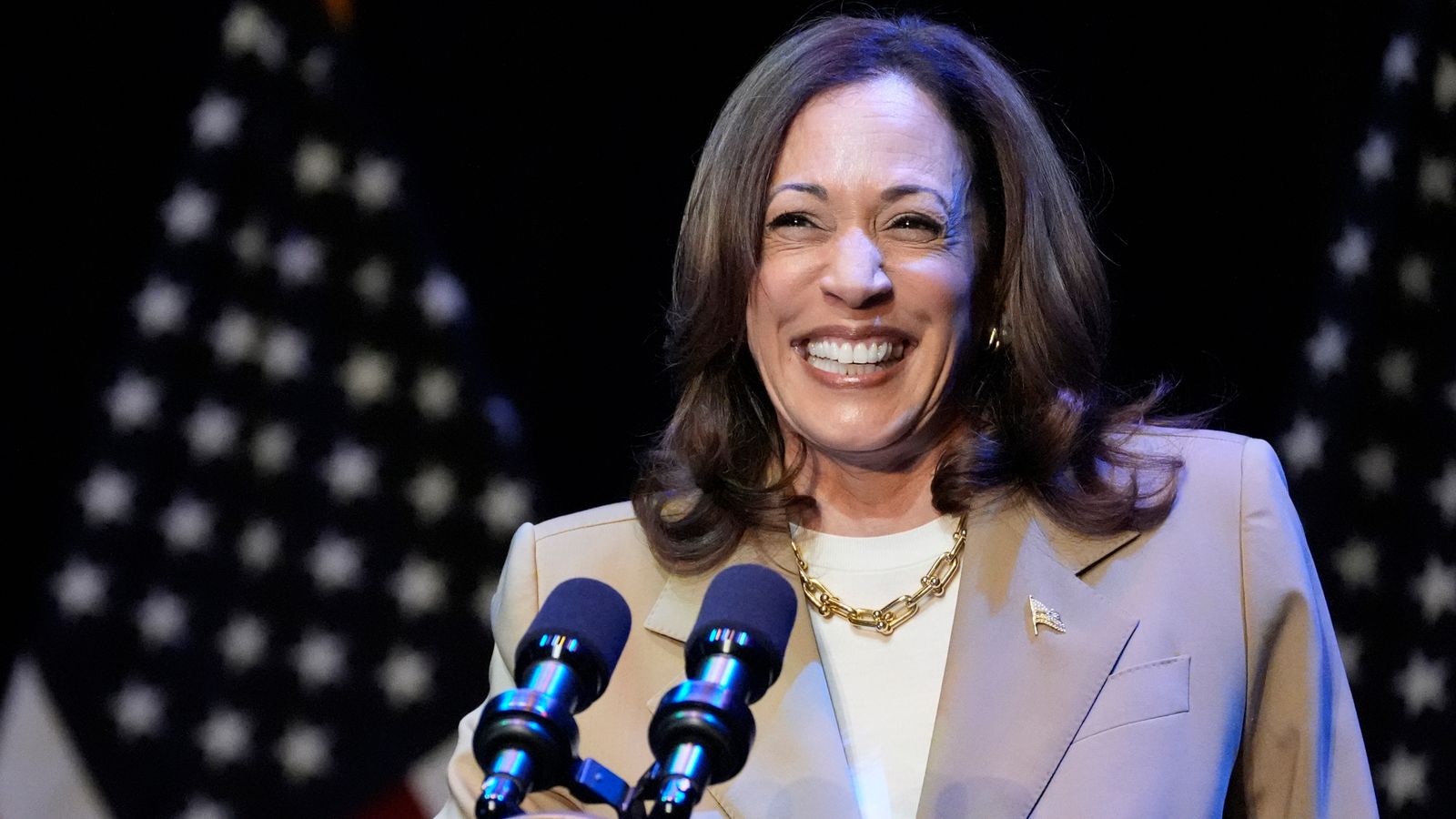 Kamala Harris's campaign has raised $200m. Pic: AP