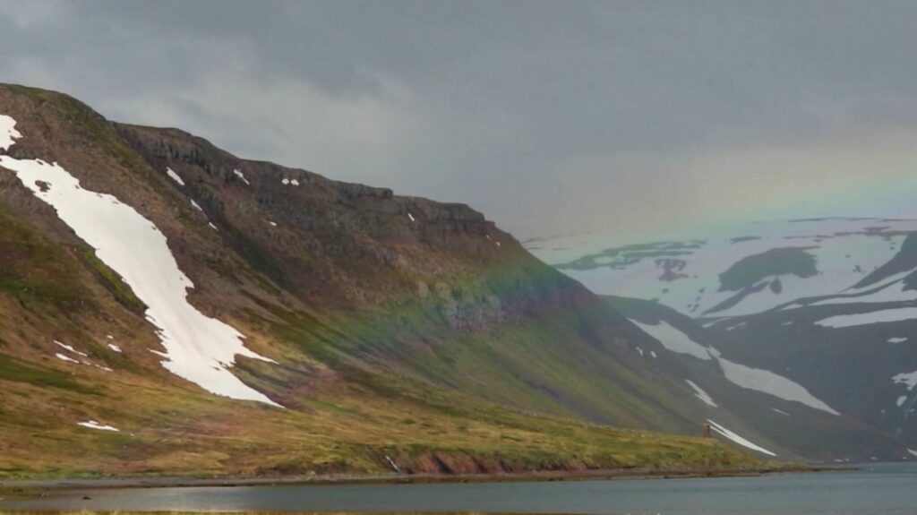 Islande : à la découverte d'Hornstrandir, une péninsule isolée et féérique