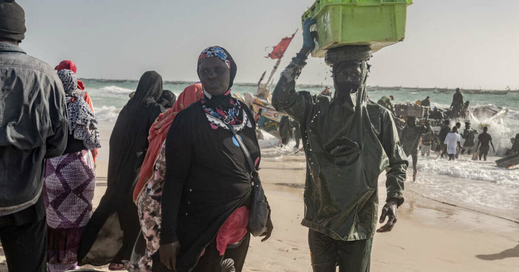 En Mauritanie, ces nomades du désert ont quitté l’élevage pour la pêche