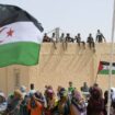 Des personnes célèbrent le 50e anniversaire du Front Polisario et le déclenchement de la lutte armée pour l'indépendance du Sahara occidental à Aousserd à Tindouf au sud-ouest d'Alger, Algérie, le 20 mai 2023.