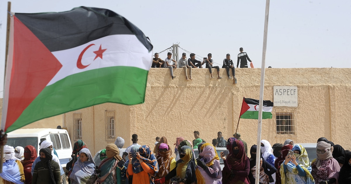 Des personnes célèbrent le 50e anniversaire du Front Polisario et le déclenchement de la lutte armée pour l'indépendance du Sahara occidental à Aousserd à Tindouf au sud-ouest d'Alger, Algérie, le 20 mai 2023.