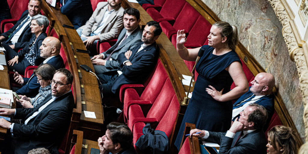 Assemblée nationale : LFI saisit le Conseil constitutionnel pour contester le vote des 17 députés ministres démissionnaires