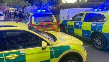 BREAKING: Boy, 15, shot dead in London park as 6 arrested on suspicion of murder