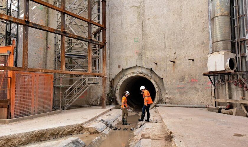 Baignade dans la Seine : le VL8, un tunnel géant à 339 millions d’euros pour assainir le fleuve