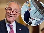 Democratic Senator Chuck Schumer told Biden it would be best if he DROPPED OUT of the 2024 election