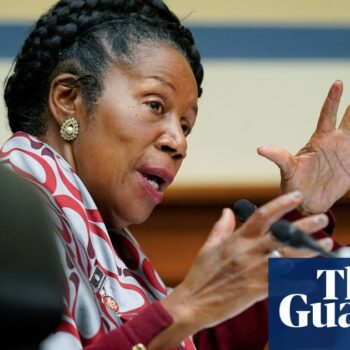 Democratic congresswoman Sheila Jackson Lee dies aged 74, family says