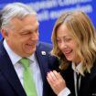 EU: What's next for right-wing parties in Brussels?