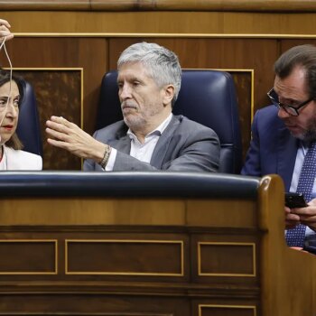 El PP pide que el ministro Marlaska comparezca en el Congreso por el veto al coronel Pérez de los Cobos