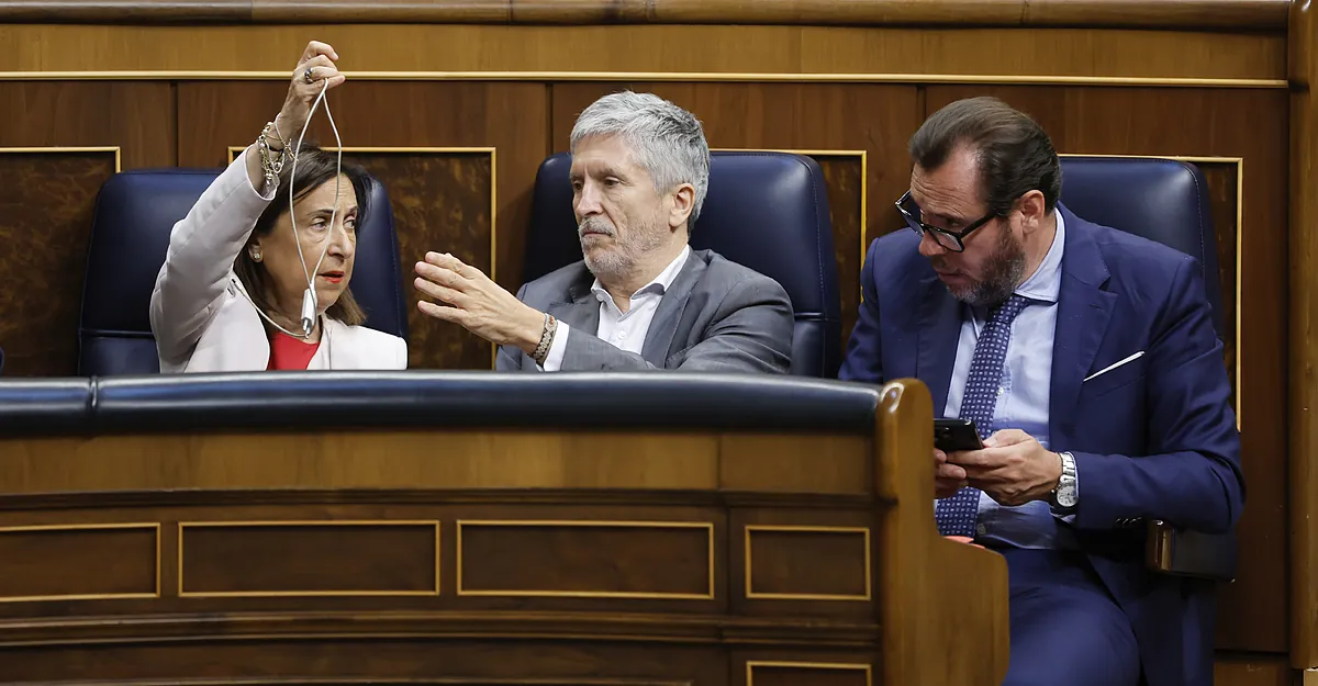 El PP pide que el ministro Marlaska comparezca en el Congreso por el veto al coronel Pérez de los Cobos