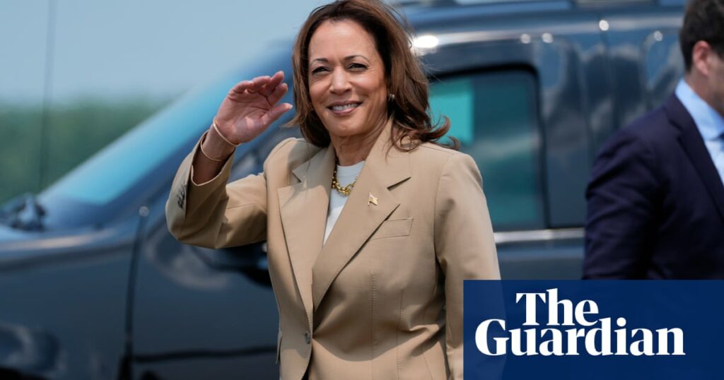 Kamala Harris ‘listening’ to young people on Gaza, says fellow Democrat